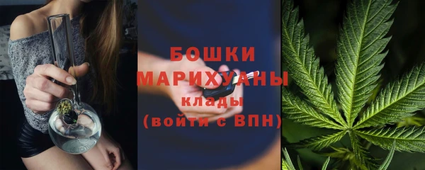 PSILOCYBIN Баксан