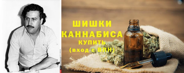 МДПВ Кукмор