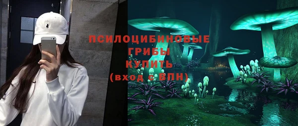 дмт Кулебаки