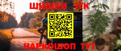стаф Кунгур