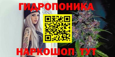 гидропоника Краснознаменск