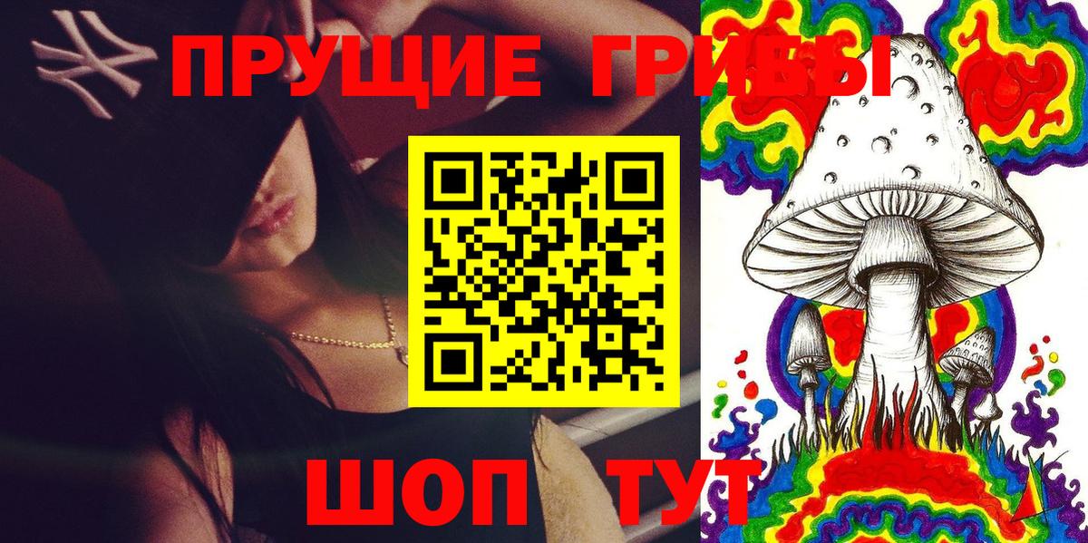 Псилоцибиновые грибы Psilocybine cubensis  Вход с VPN  Фурманов 