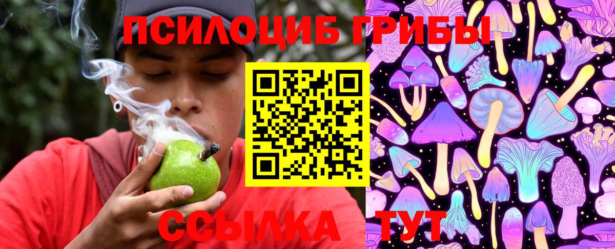 Галлюциногенные грибы Psilocybine cubensis Фурманов