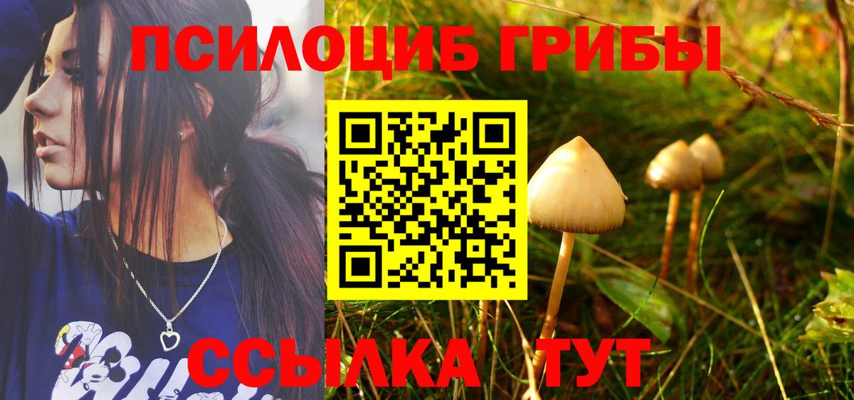 Галлюциногенные грибы GOLDEN TEACHER  Фурманов 